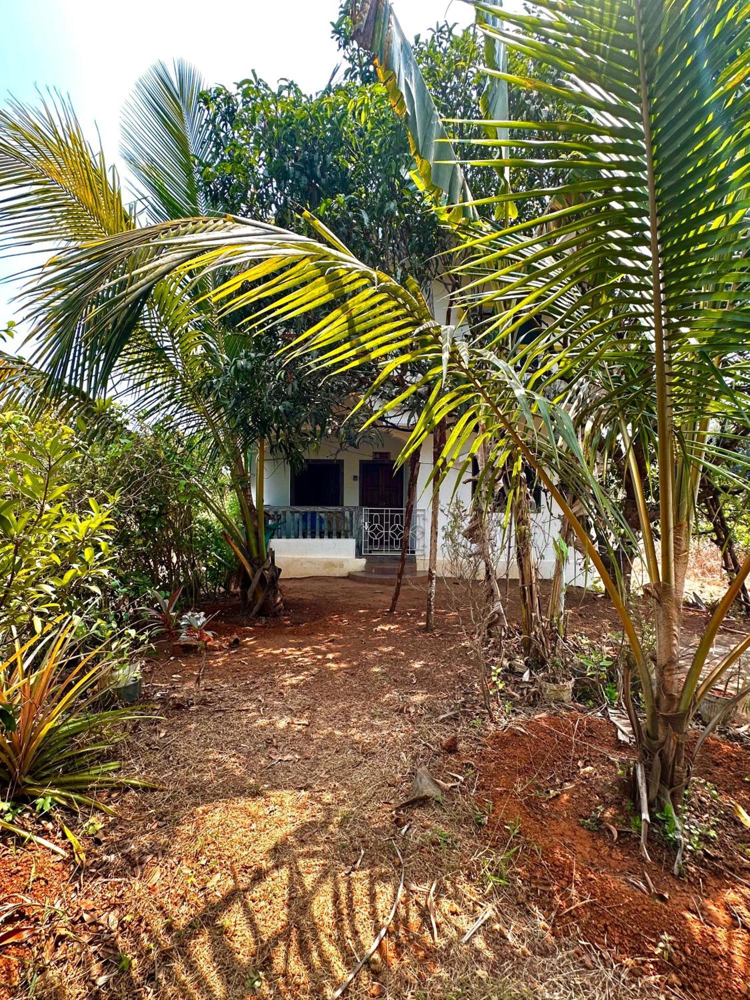 Evaddo Homes Mandrem Extérieur photo